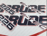 Evinrude 225HP E-tec (90° V6, 3.3L) White Cowling Outboard Decal Kit
